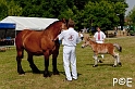 090628_MG_0070