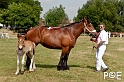 090628_MG_0078