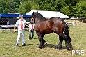 090628_MG_0147