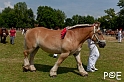090628_MG_0154