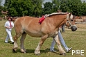 090628_MG_0160