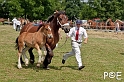 090628_MG_0165