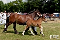 090628_MG_0167