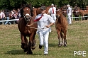 090628_MG_8462