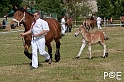 090628_MG_8508