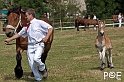090628_MG_8530