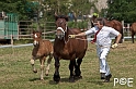 090628_MG_8538