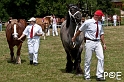 090628_MG_8774
