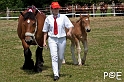 090628_MG_8777