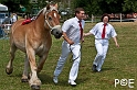 090628_MG_8808