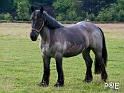 090620_DSCF1031
