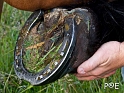 090620_DSCF1044