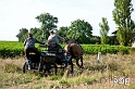 090621_MG_3233