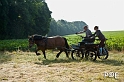 090621_MG_3263
