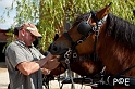 090621_MG_3355