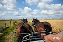 090621_MG_3369