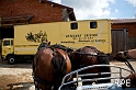 090621_MG_3395