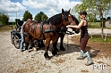 090621_MG_3398