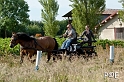 090621_MG_8105