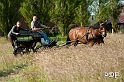 090621_MG_8124