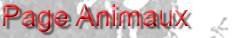 Page des Animaux